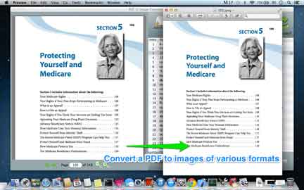 PDF pages rendered into high-quality JPEG, PNG, TIFF, BMP and GIF images