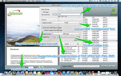 Custom image size, DPI and color depth controls