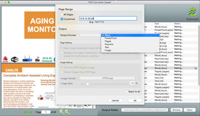 Batch conversion of multiple PDF files into Word documents in one pass