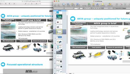 Side by side comparison of a PDF page and the converted Keynote slide, showing preserved layout and text boxes