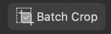 Batch Crop button